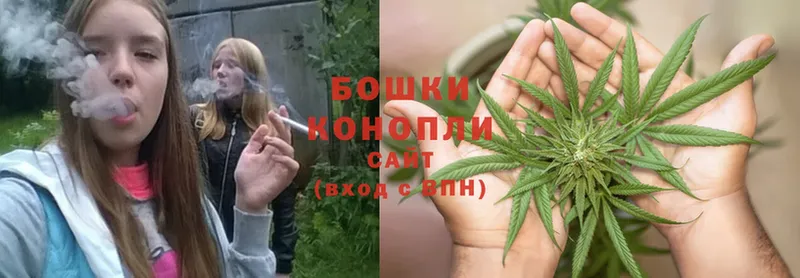 купить закладку  Чебоксары  нарко площадка состав  Конопля White Widow 